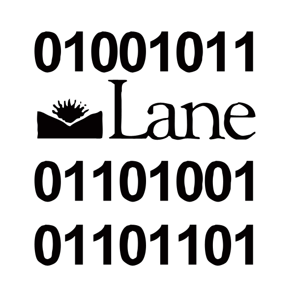 At Lane Community College, Kim learned programming. The 0s & 1s are binary code for KIM.